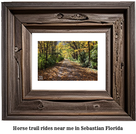 horse trail rides near me in Sebastian, Florida